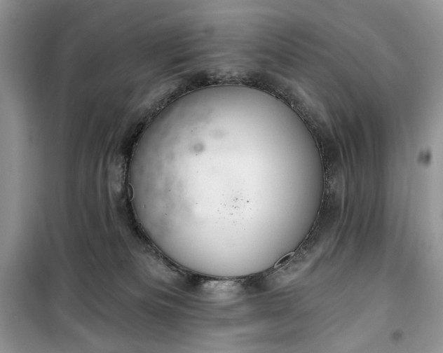 X0000099500133200805291136