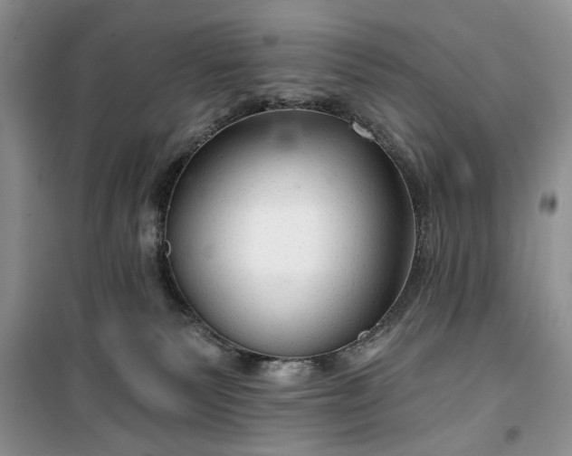 X0000099500135200805291136