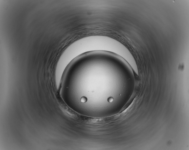 X0000099500136200805291136