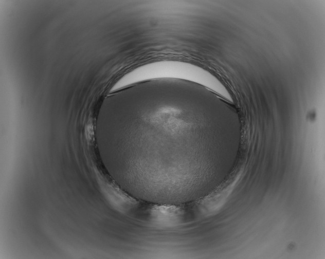 X0000099500137200805291136