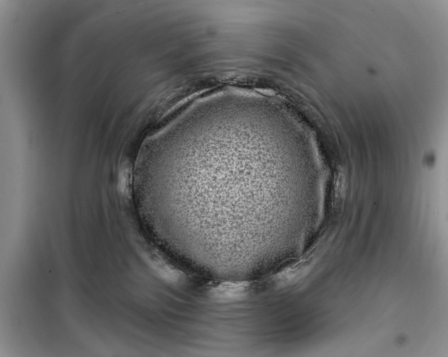 X0000099500138200805291136