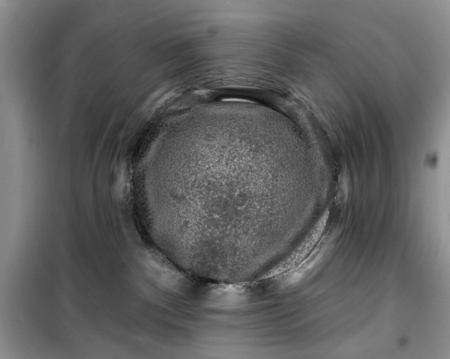 X0000099500140200805291136