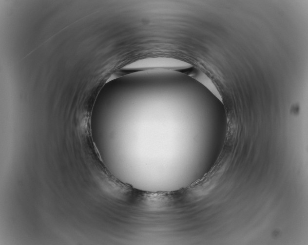 X0000099500141200805291136