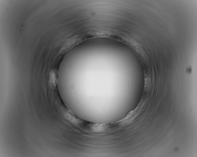 X0000099500142200805291136