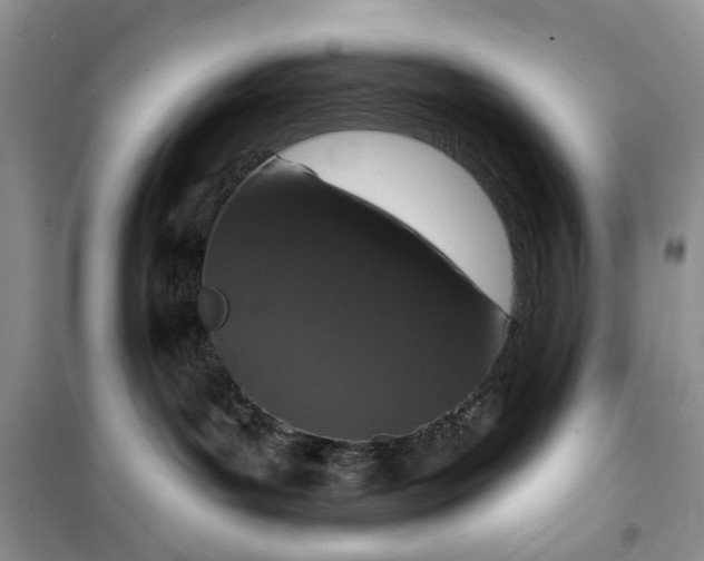 X0000099500143200805291136