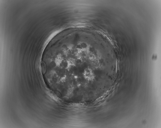 X0000099500147200805291135