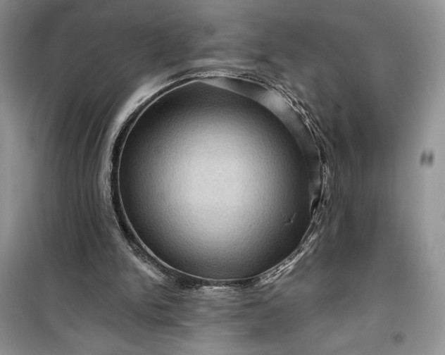 X0000099500150200805291135