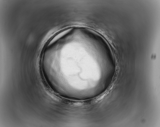 X0000099500151200805291135