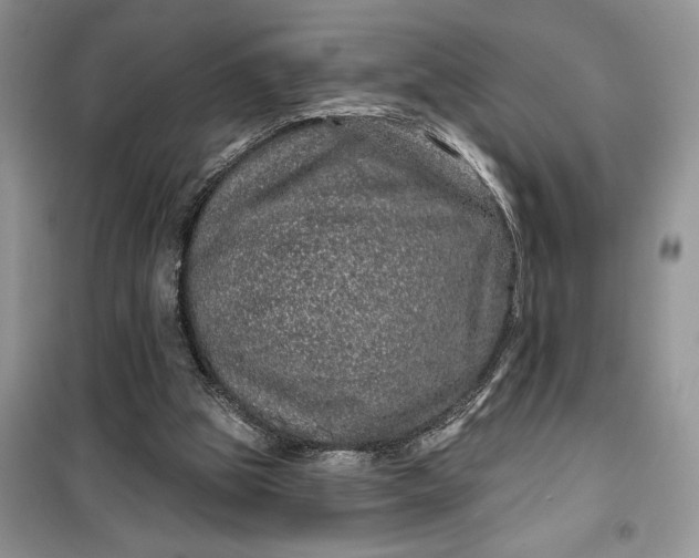 X0000099500153200805291135