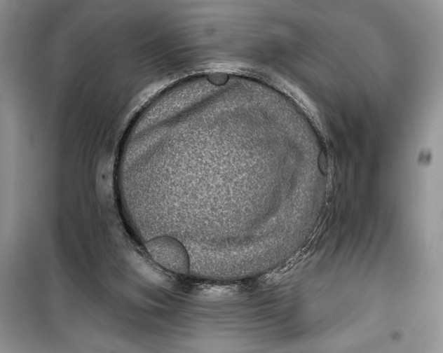 X0000099500155200805291135