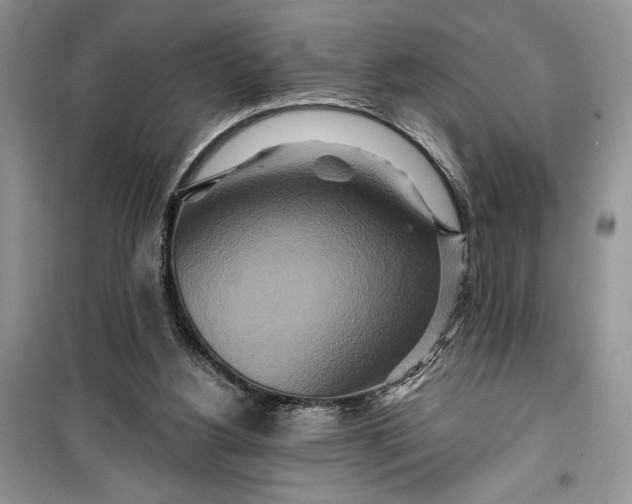 X0000099500156200805291135