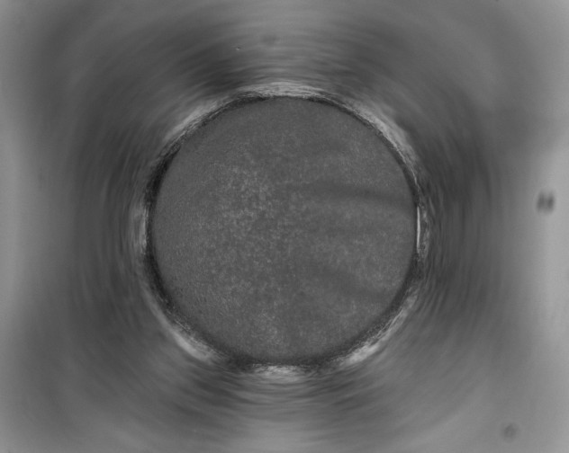 X0000099500157200805291135