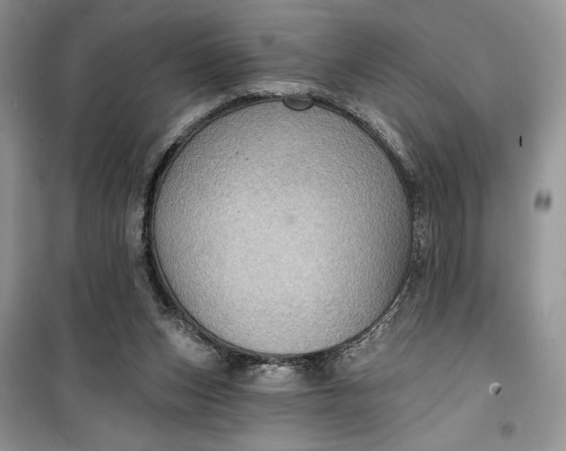 X0000099500159200805291136