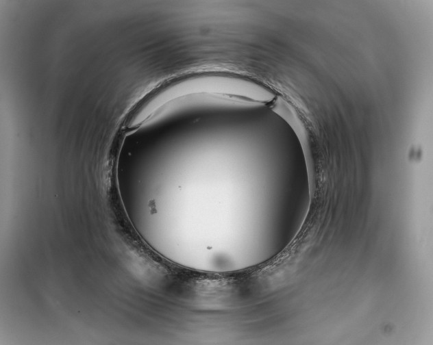 X0000099500160200805291136