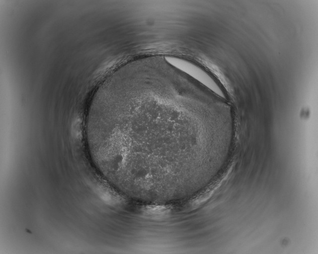 X0000099500161200805291136