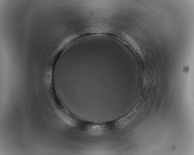 X0000099500163200805291136