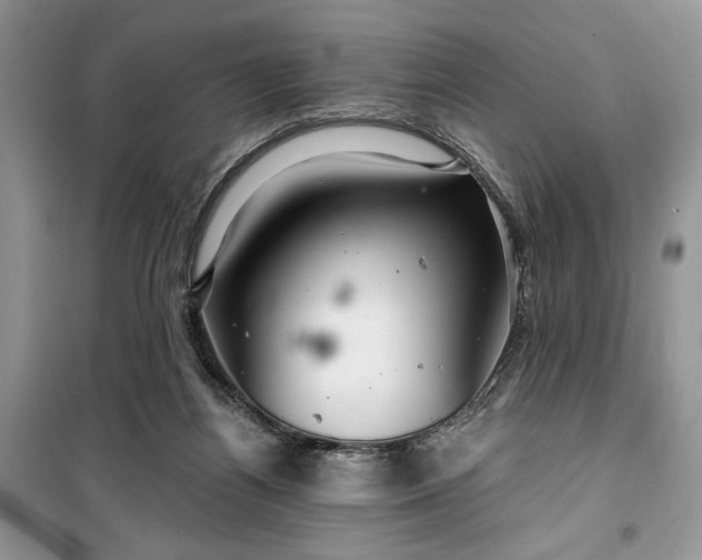 X0000099500164200805291136