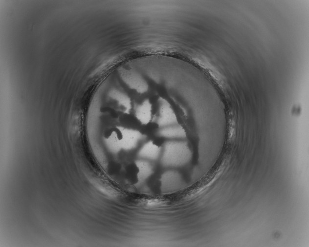 X0000099500165200805291136