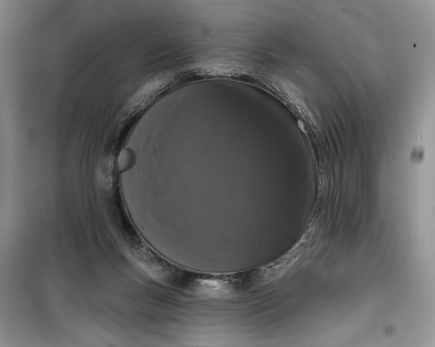 X0000099500167200805291136