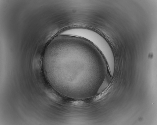 X0000099500168200805291136