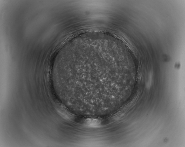 X0000099500169200805291136