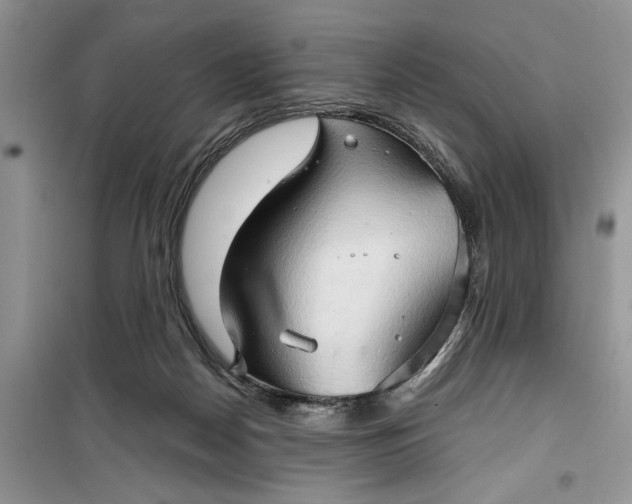 X0000099500170200805291136