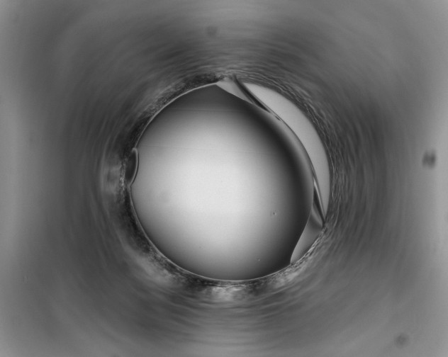 X0000099500172200805291136