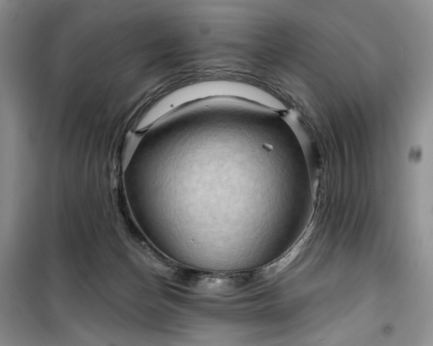 X0000099500174200805291136