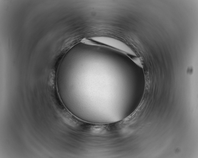 X0000099500175200805291136