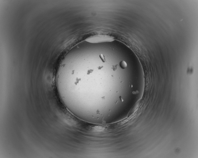 X0000099500176200805291136