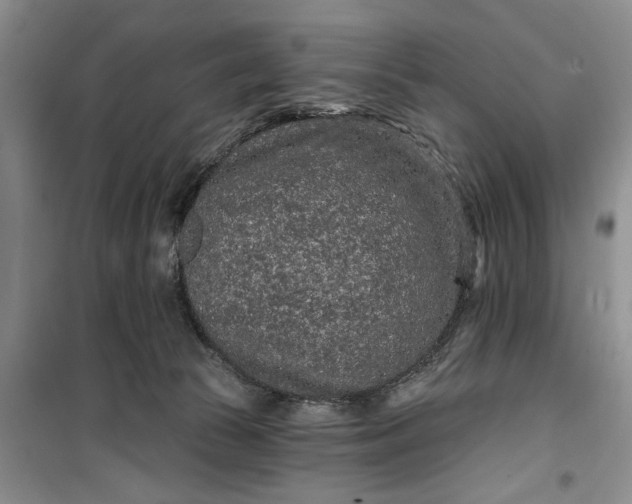 X0000099500177200805291136