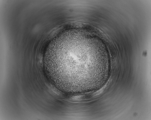 X0000099500178200805291136