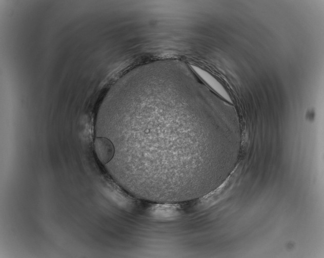 X0000099500179200805291136