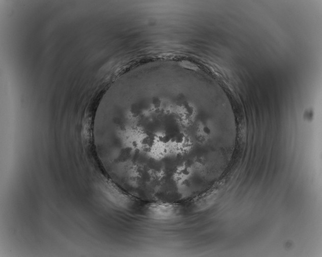 X0000099500181200805291136