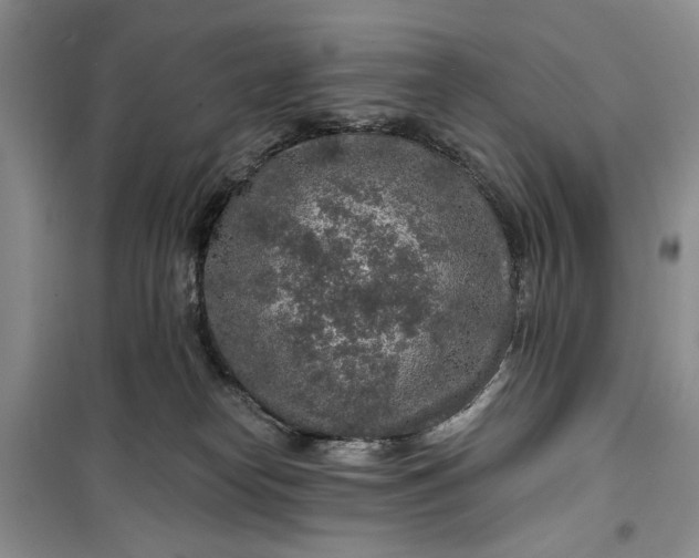 X0000099500182200805291136