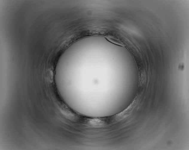 X0000099500183200805291136