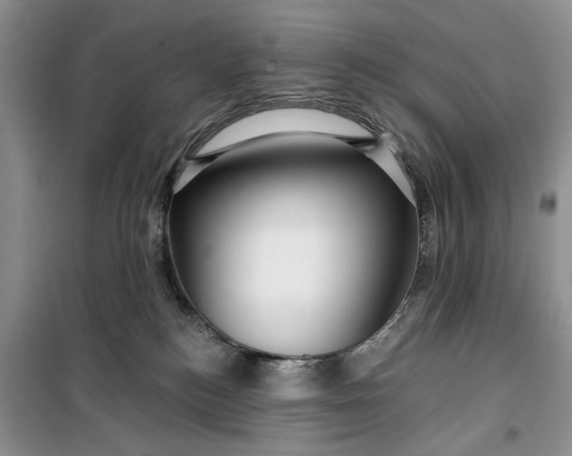 X0000099500184200805291136