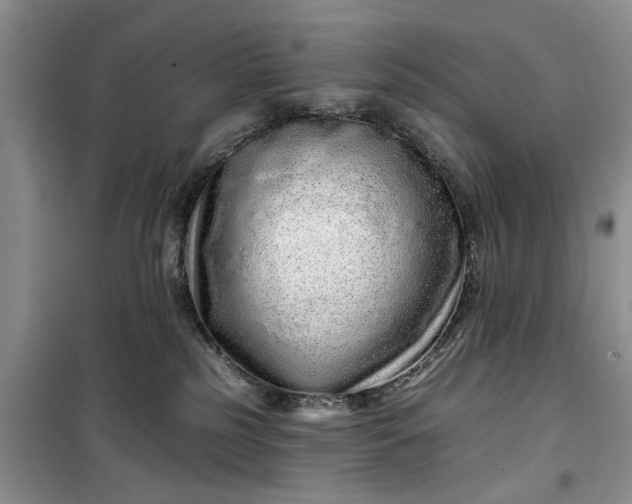 X0000099500185200805291136