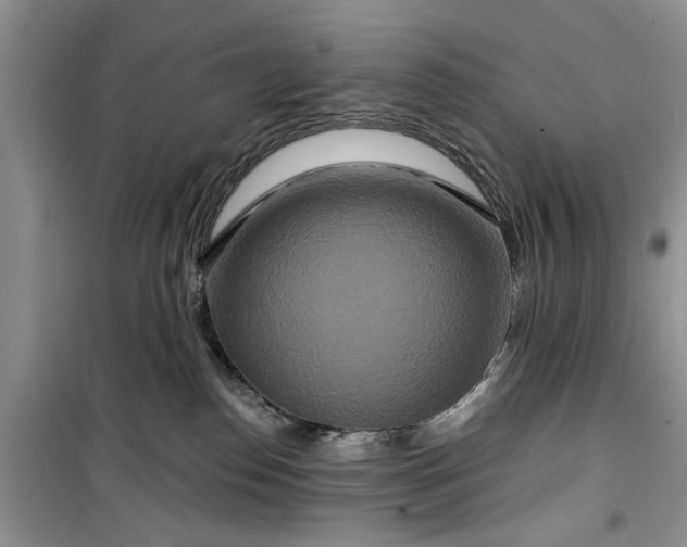 X0000099500186200805291136