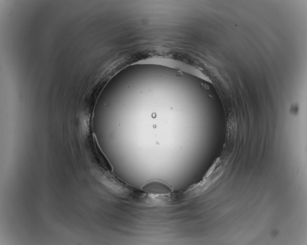 X0000099500188200805291136