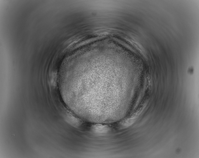 X0000099500189200805291136