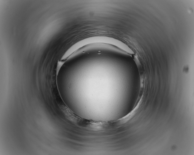 X0000099500190200805291136