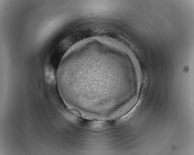 X0000099500191200805291136