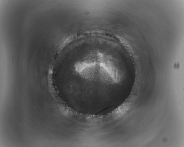 X0000099500192200805291136