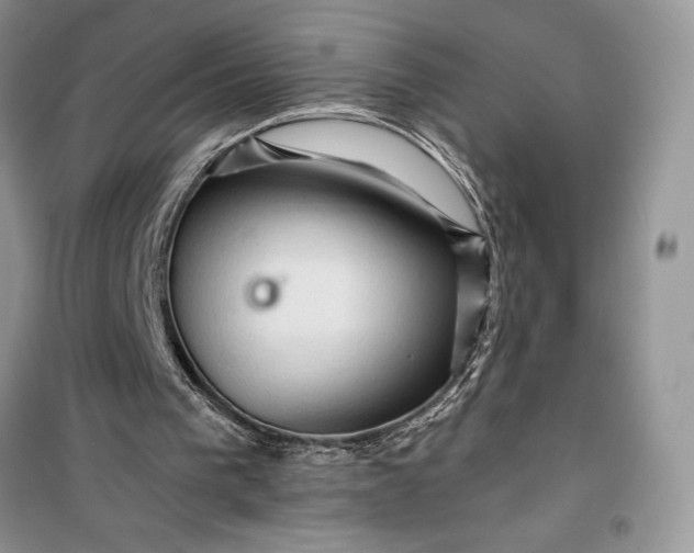 X0000099500193200805291135