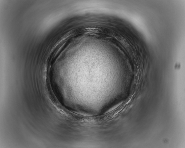 X0000099500194200805291135