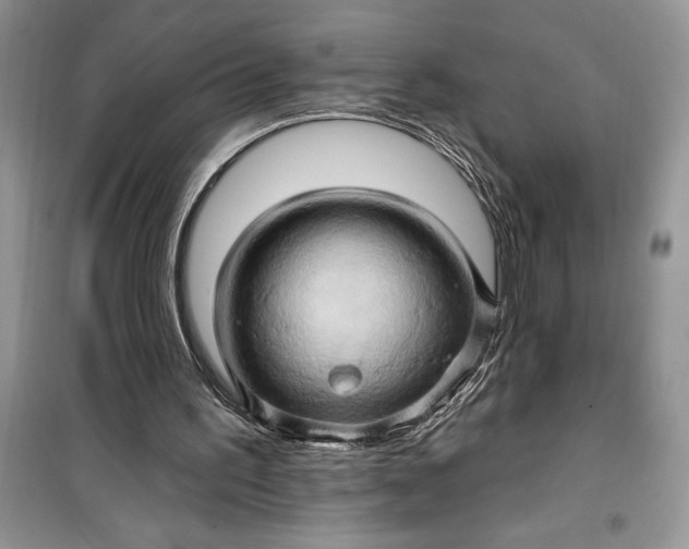 X0000099500195200805291135