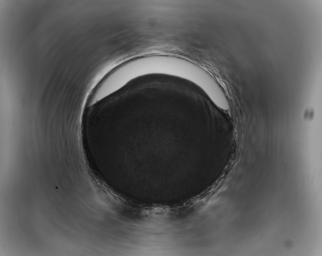 X0000099500196200805291135