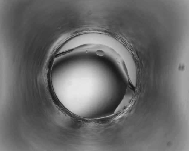 X0000099500197200805291135