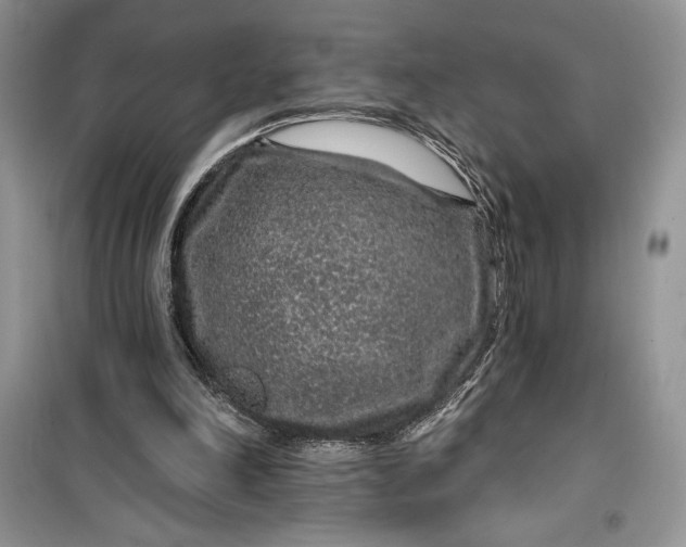 X0000099500198200805291135